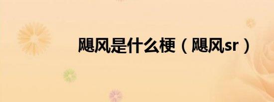飓风是什么梗（飓风sr）