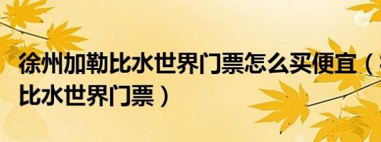 徐州加勒比水世界门票怎么买便宜（徐州加勒比水世界门票）