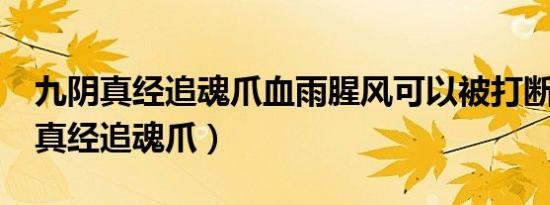 九阴真经追魂爪血雨腥风可以被打断?（九阴真经追魂爪）