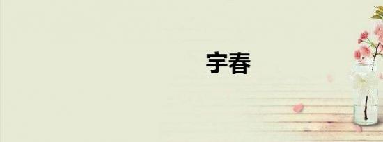 宇春