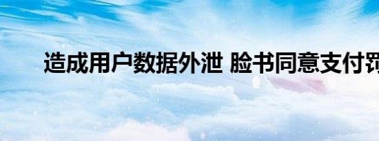 造成用户数据外泄 脸书同意支付罚款