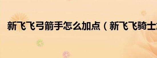 新飞飞弓箭手怎么加点（新飞飞骑士加点）