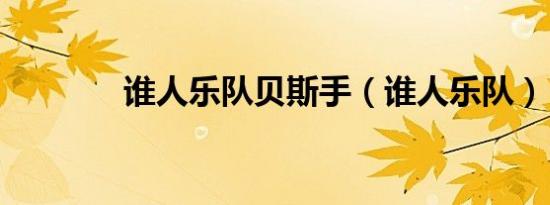 谁人乐队贝斯手（谁人乐队）