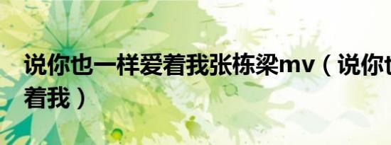说你也一样爱着我张栋梁mv（说你也一样爱着我）