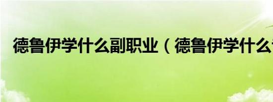 德鲁伊学什么副职业（德鲁伊学什么专业）