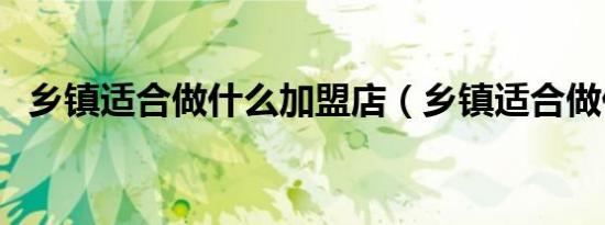 乡镇适合做什么加盟店（乡镇适合做什么）