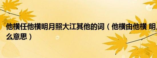他横任他横明月照大江其他的词（他横由他横 明月照大江什么意思）