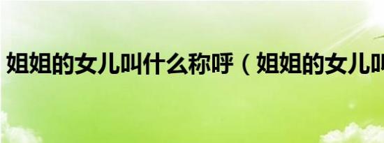 姐姐的女儿叫什么称呼（姐姐的女儿叫什么）