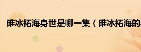 碓冰拓海身世是哪一集（碓冰拓海的身世）