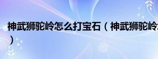 神武狮驼岭怎么打宝石（神武狮驼岭怎么加点）