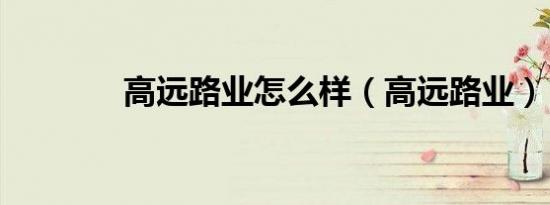 高远路业怎么样（高远路业）