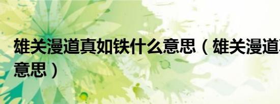 雄关漫道真如铁什么意思（雄关漫道真如铁的意思）