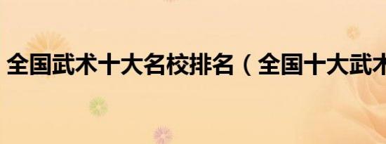 全国武术十大名校排名（全国十大武术名校）