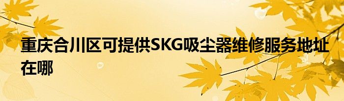 重庆合川区可提供SKG吸尘器维修服务地址在哪