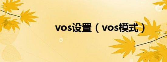vos设置（vos模式）
