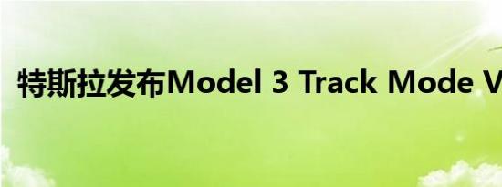 特斯拉发布Model 3 Track Mode V2更新