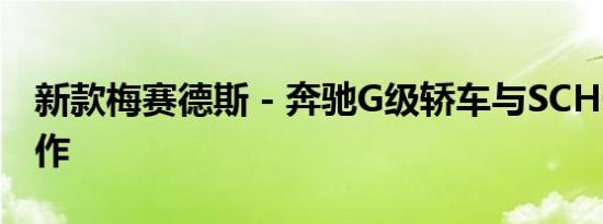新款梅赛德斯 - 奔驰G级轿车与SCHÖCKL合作