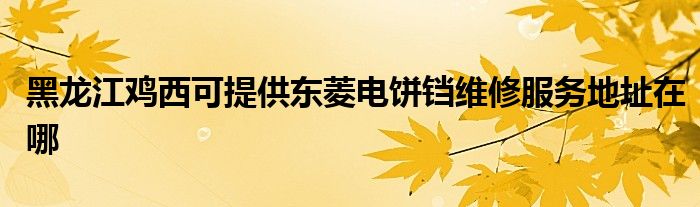 黑龙江鸡西可提供东菱电饼铛维修服务地址在哪