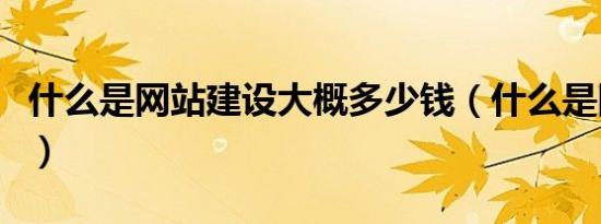 什么是网站建设大概多少钱（什么是网站优化）