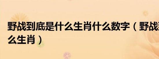 野战到底是什么生肖什么数字（野战到底是什么生肖）