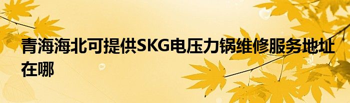 青海海北可提供SKG电压力锅维修服务地址在哪