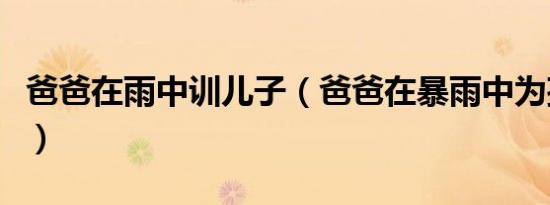 爸爸在雨中训儿子（爸爸在暴雨中为孩子挡雨）