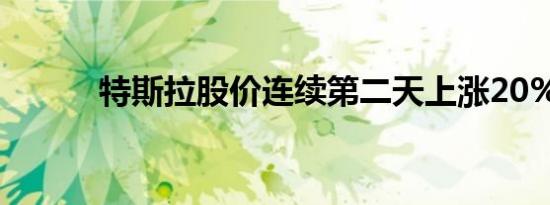 特斯拉股价连续第二天上涨20%