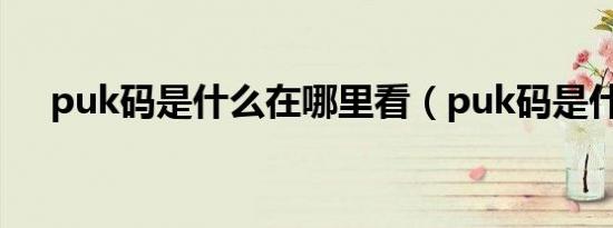 puk码是什么在哪里看（puk码是什么）