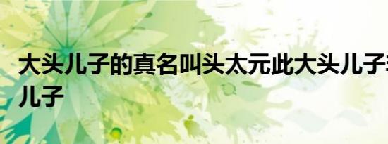 大头儿子的真名叫头太元此大头儿子非彼大头儿子