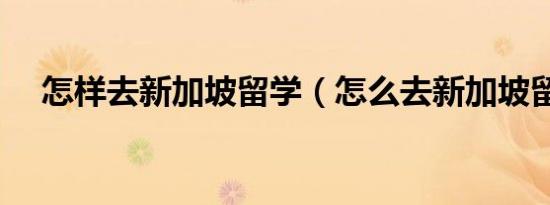 怎样去新加坡留学（怎么去新加坡留学）
