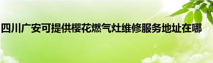 四川广安可提供樱花燃气灶维修服务地址在哪