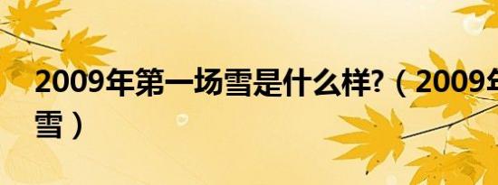 2009年第一场雪是什么样?（2009年第一场雪）