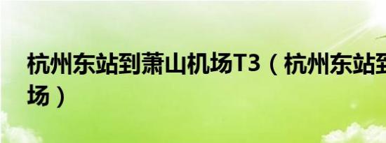 杭州东站到萧山机场T3（杭州东站到萧山机场）