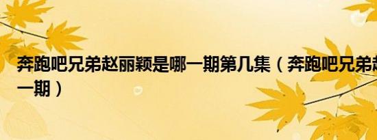 奔跑吧兄弟赵丽颖是哪一期第几集（奔跑吧兄弟赵丽颖是哪一期）