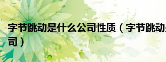 字节跳动是什么公司性质（字节跳动是什么公司）