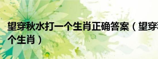 望穿秋水打一个生肖正确答案（望穿秋水打一个生肖）