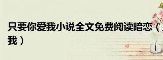 只要你爱我小说全文免费阅读暗恋（只要你爱我）