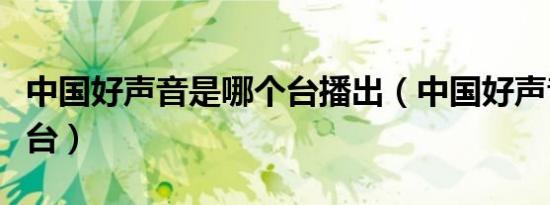 中国好声音是哪个台播出（中国好声音是哪个台）