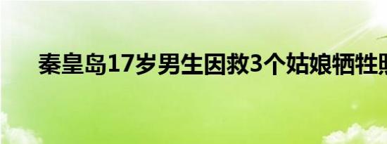 秦皇岛17岁男生因救3个姑娘牺牲照片