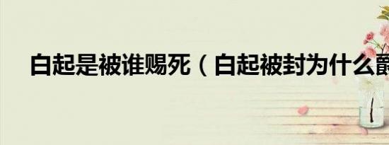 白起是被谁赐死（白起被封为什么爵位）