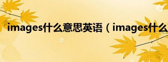 images什么意思英语（images什么意思）