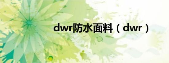 dwr防水面料（dwr）