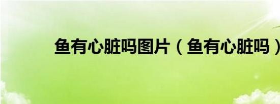 鱼有心脏吗图片（鱼有心脏吗）