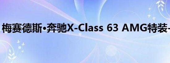 梅赛德斯·奔驰X-Class 63 AMG特装-有潜力