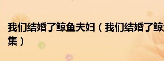 我们结婚了鲸鱼夫妇（我们结婚了鲸鱼夫妇全集）