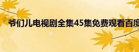 爷们儿电视剧全集45集免费观看百度网盘