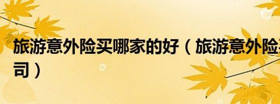 旅游意外险买哪家的好（旅游意外险买哪个公司）
