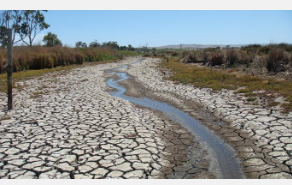 气候变化正在降低全球河流水质