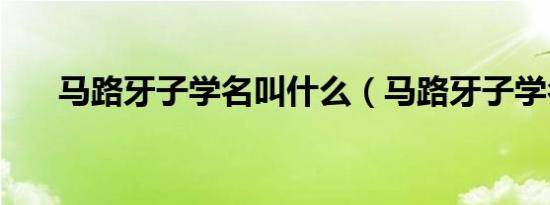 马路牙子学名叫什么（马路牙子学名）