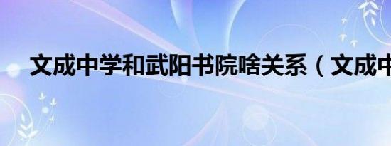 文成中学和武阳书院啥关系（文成中学）